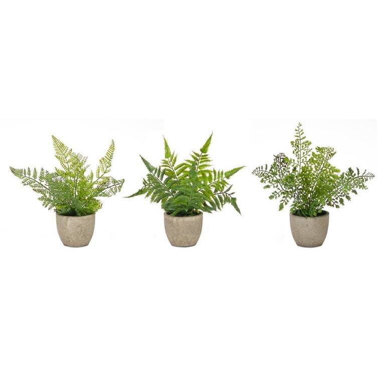 Potted Fern Plant (Set of 3) - 11 x 3.5 x 9.5