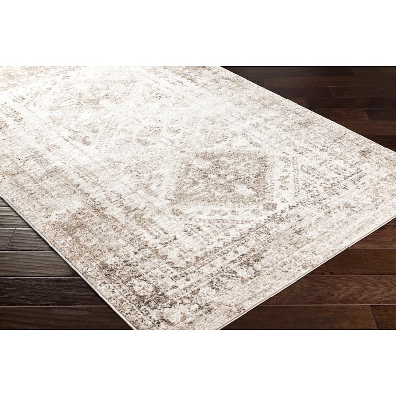 Livabliss Monte Carlo Updated Traditional Medallion Area Rug