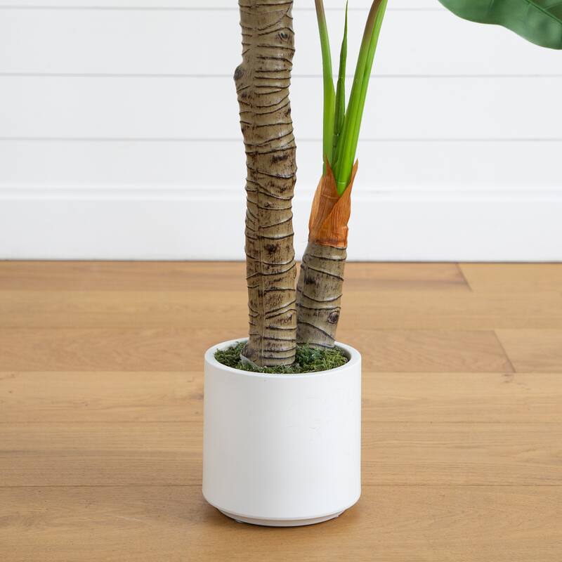 Arrowhead Philodendron Artificial Plant with White Planter - 5.5'