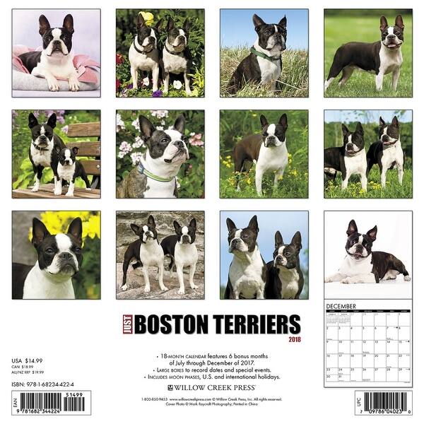Shop Just Boston Terriers Wall Calendar Boston Terrier By Willow Creek Press Overstock 18139960
