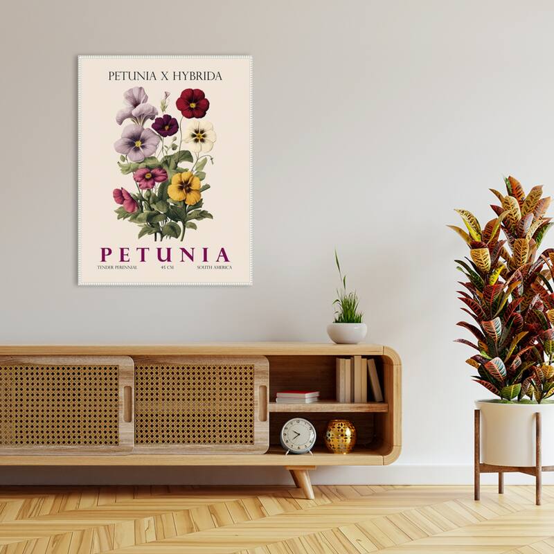 Vintage Botanical Petunia Illustration by Christopher Giampietro Framed Canvas Wall Art Print