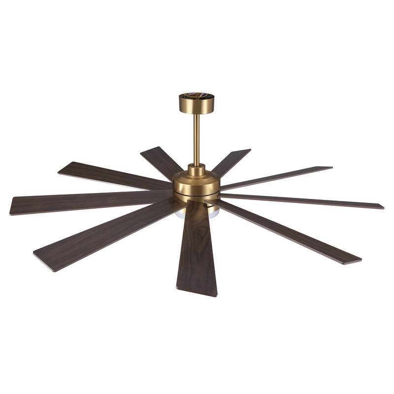 MLiAN DC Motor Indoor Ceiling Fan with Light and Remote