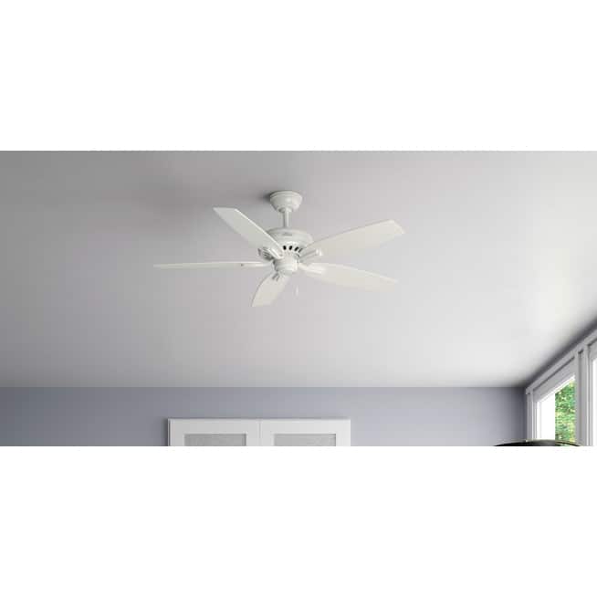 Hunter 52" Newsome Ceiling Fan with Pull Chain - Traditional - Casual