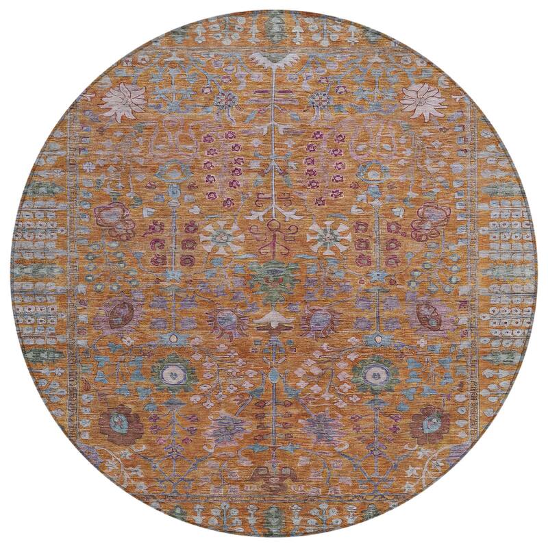 Machine Washable Indoor/ Outdoor Traditional Classic Chantille Rug