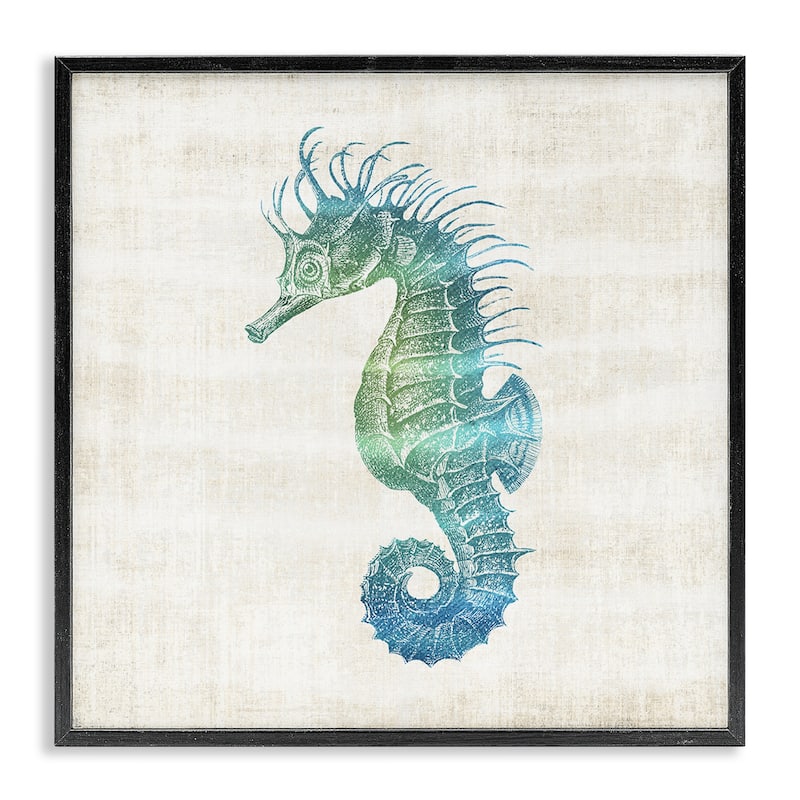 Stupell Ombre Seahorse Expression Framed Giclee Art Design By Susan Arnot - 17 x 17 - Black