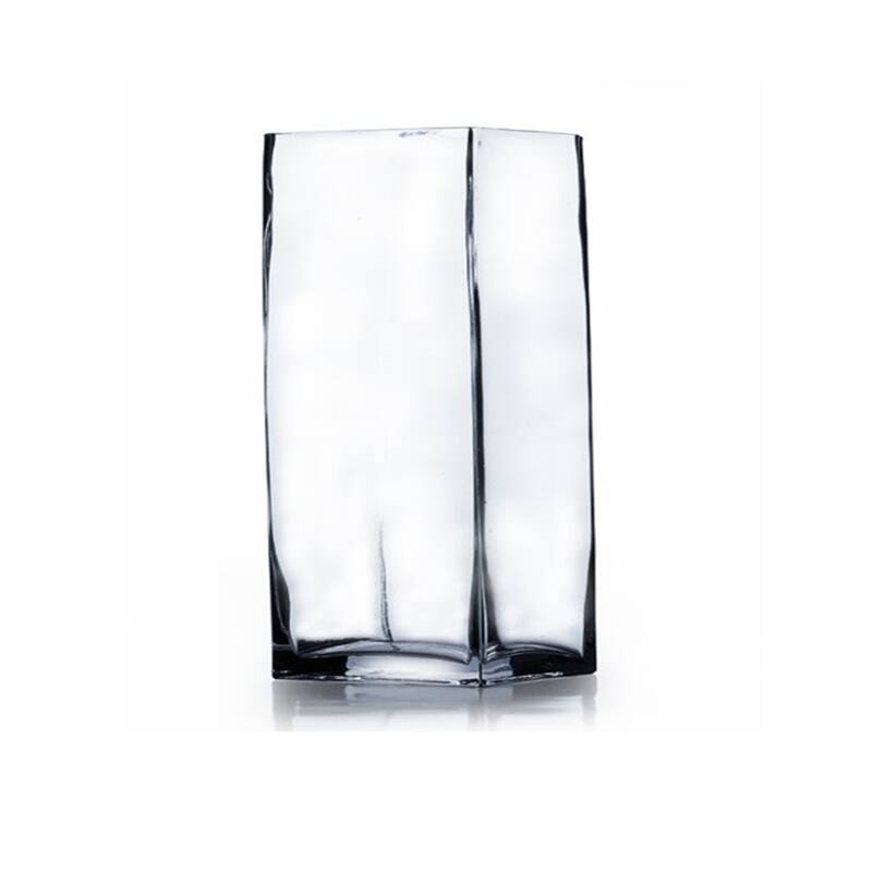 Enova Home Rectangle Shape Clear Glass Vase For Home Garden Decoration - 3.0" W x 8.0" H