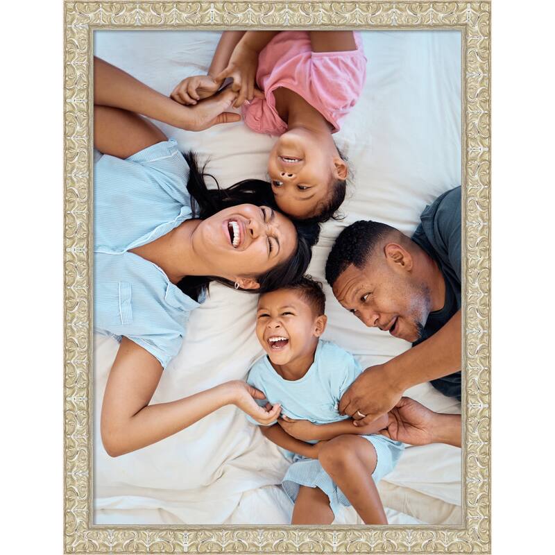 Lila Picture Frame, Photo Frame - 18x24 - Lila Silver