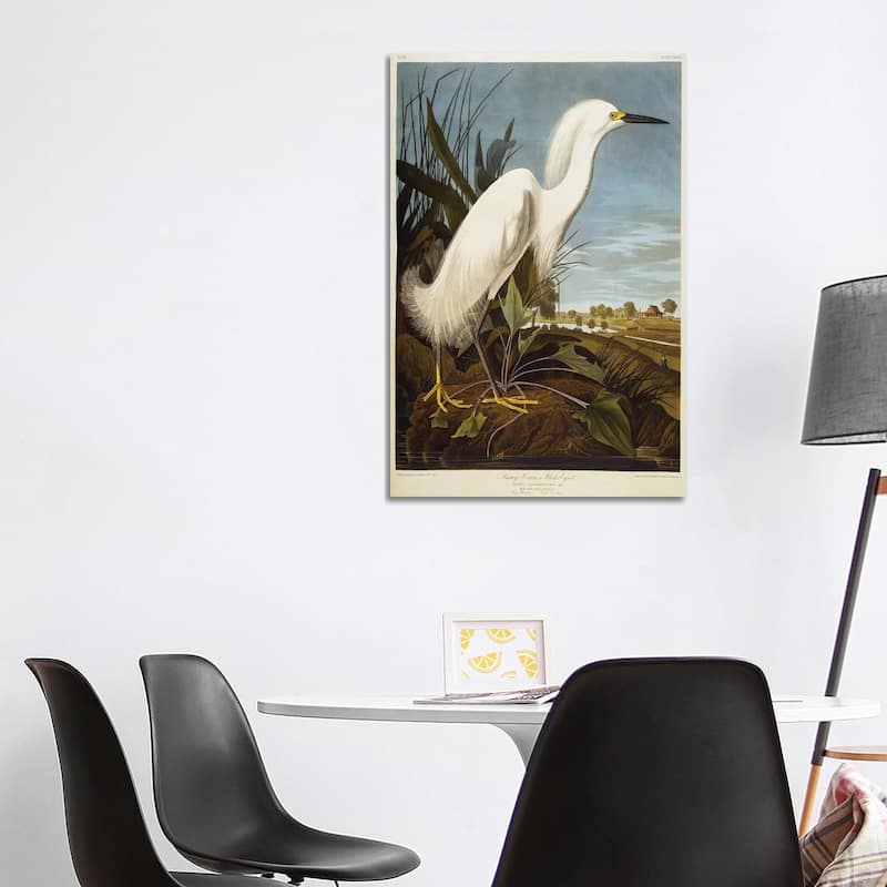 iCanvas "Snowy Heron Or White Egret / Snowy Egret " by John James Audubon Canvas Print - 40x26x1.5