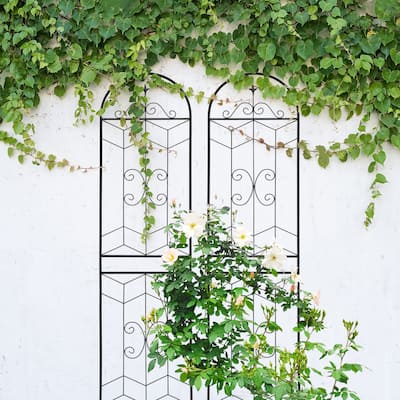 2 Pack Metal Garden Trellis Rustproof Trellis for Climbing Plants Outdoor Flower Support