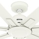 preview thumbnail 16 of 26, Hunter 72" Downtown Windmill Outdoor Ceiling Fan & Wall Control - Damp Rated - Industrial, Modern - ENERGY STAR!