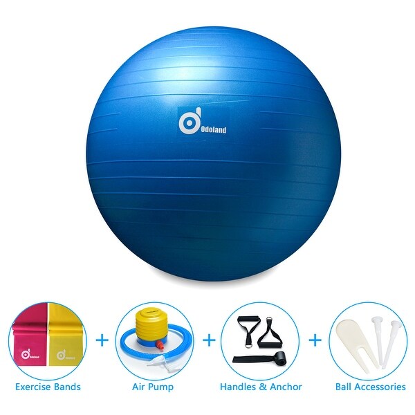 exercise ball handles