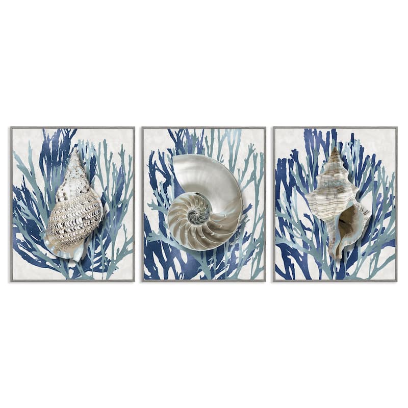 Stupell Trio of Shell Coral Blue Beach Design, 3pc Multi Piece Framed Wall Art Set - 24 x 30 - Grey
