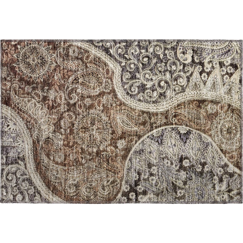 Premium Washable Super Soft Modern Paisley Mayfield Rug