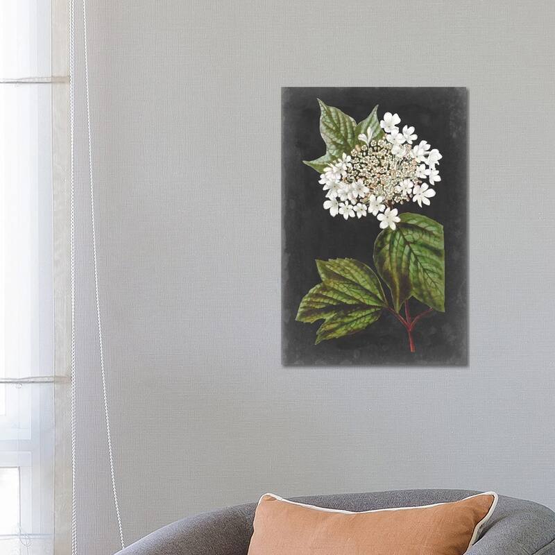 iCanvas "Dramatic White Flowers III" by Vision Studio Canvas Print - 26x18x1.5