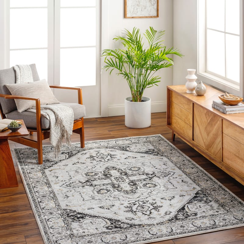 Livabliss San Francisco Updated Traditional Area Rug - Black - 9' 2" x 12'