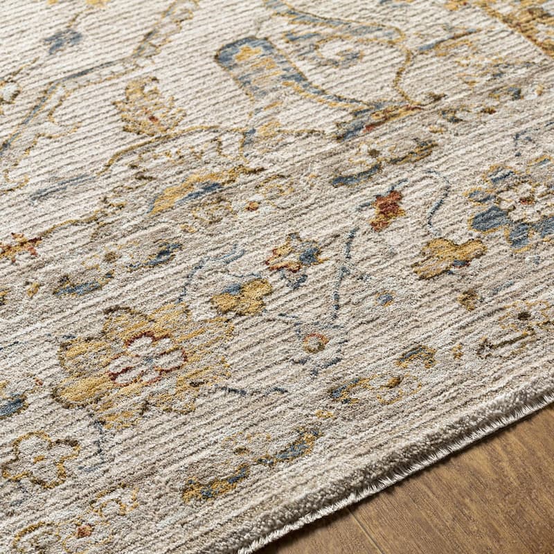 Tereza Updated Traditional Medallion Area Rug