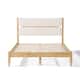 Option Ivory