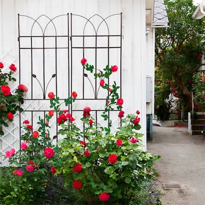 2 Pack Metal Garden Trellis