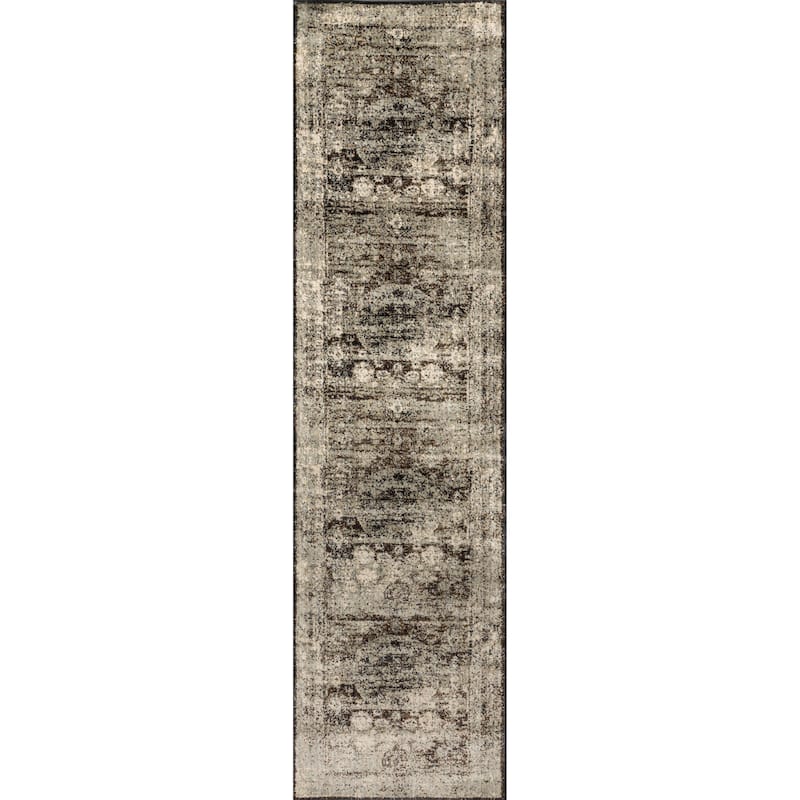 Alexander Home Contessa Traditional Medallion Distressed Rug