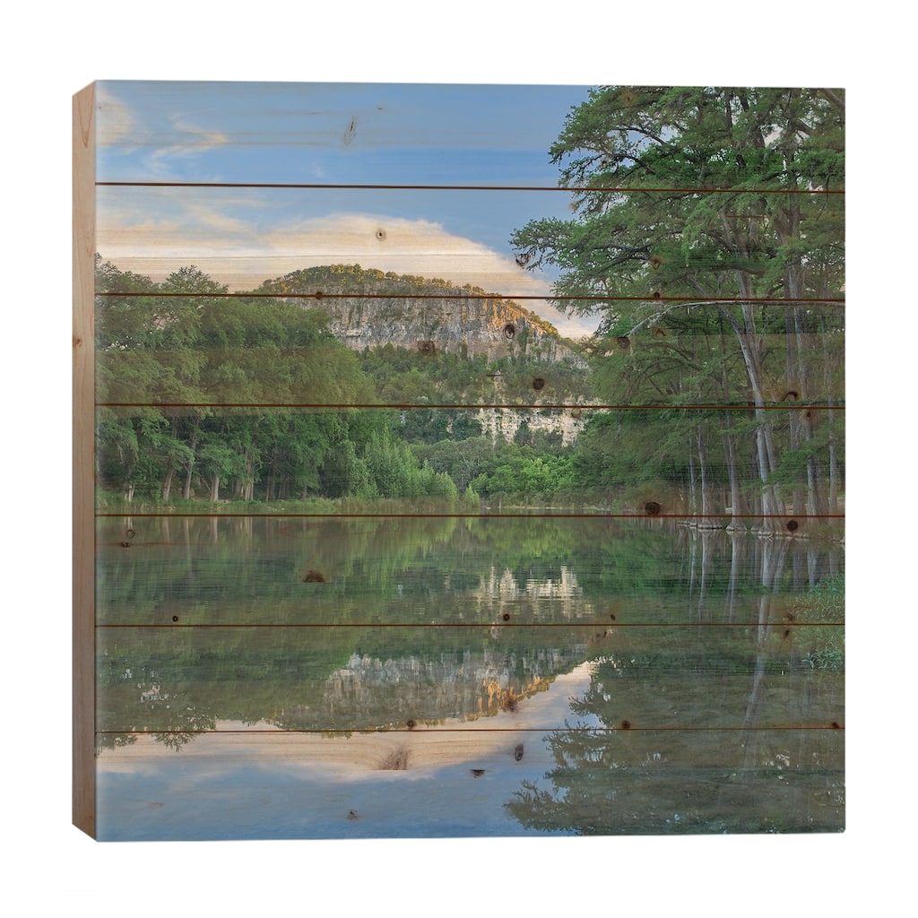 Bald Cypress Trees Along River, Frio River, Old Baldy Mountain, Garner State Park, Texas Print On Wood by Tim Fitzharris