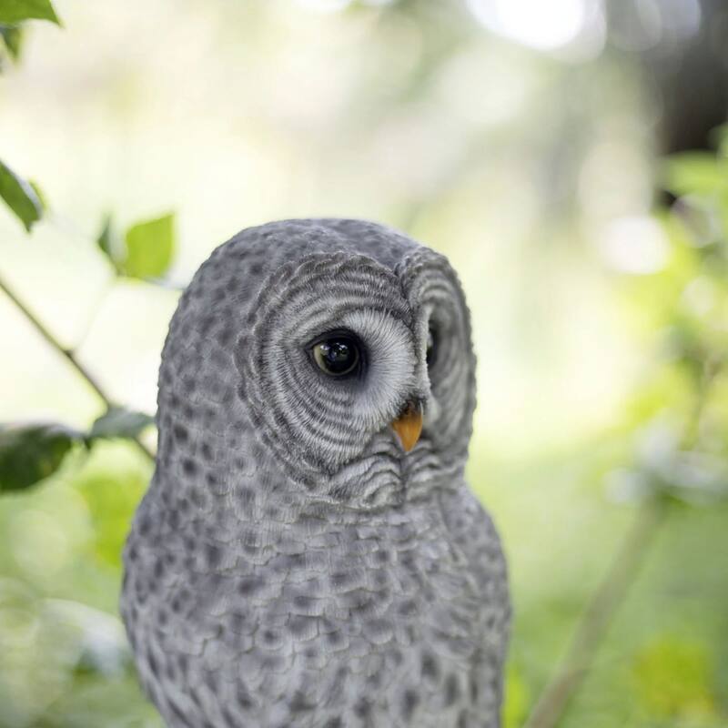 Tawny Owl Standing on Branch Outdoor Garden Statue - 13.75"