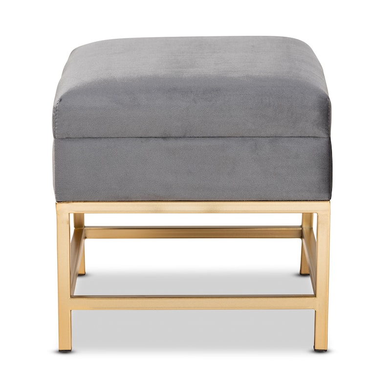 Aliana Glam and Luxe Velvet and Gold Metal Small Storage Ottoman