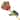 Curata Lacquer Dipped Gold Trimmed Gypsy Rainbow Real Rose