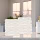 Option Ivory