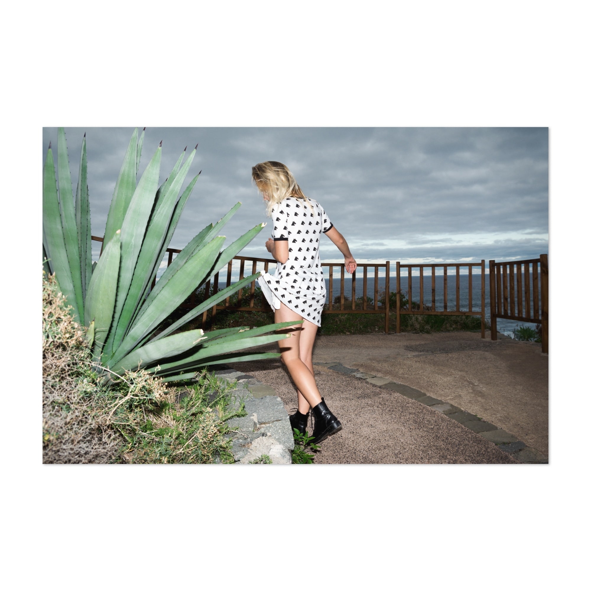 Obstacles Photography Cactus Fashion Nature Art Print/Poster - Overstock -