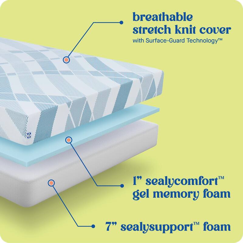Sealy Dreamlife 8" Foam Mattress-in-a-Box