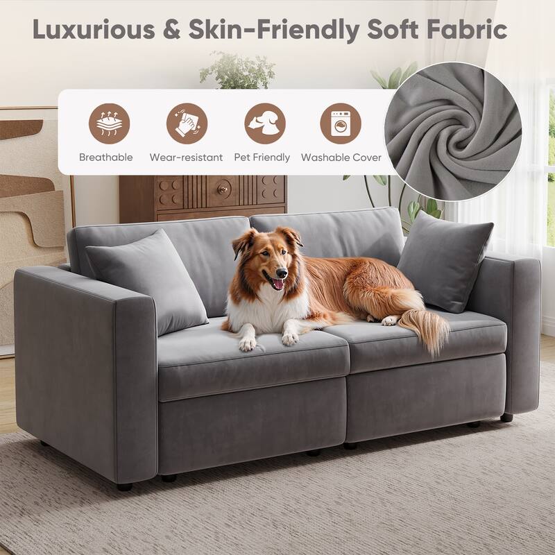 Pocassy Cloud Sofa Modular Sectional Couch with Seat Storage