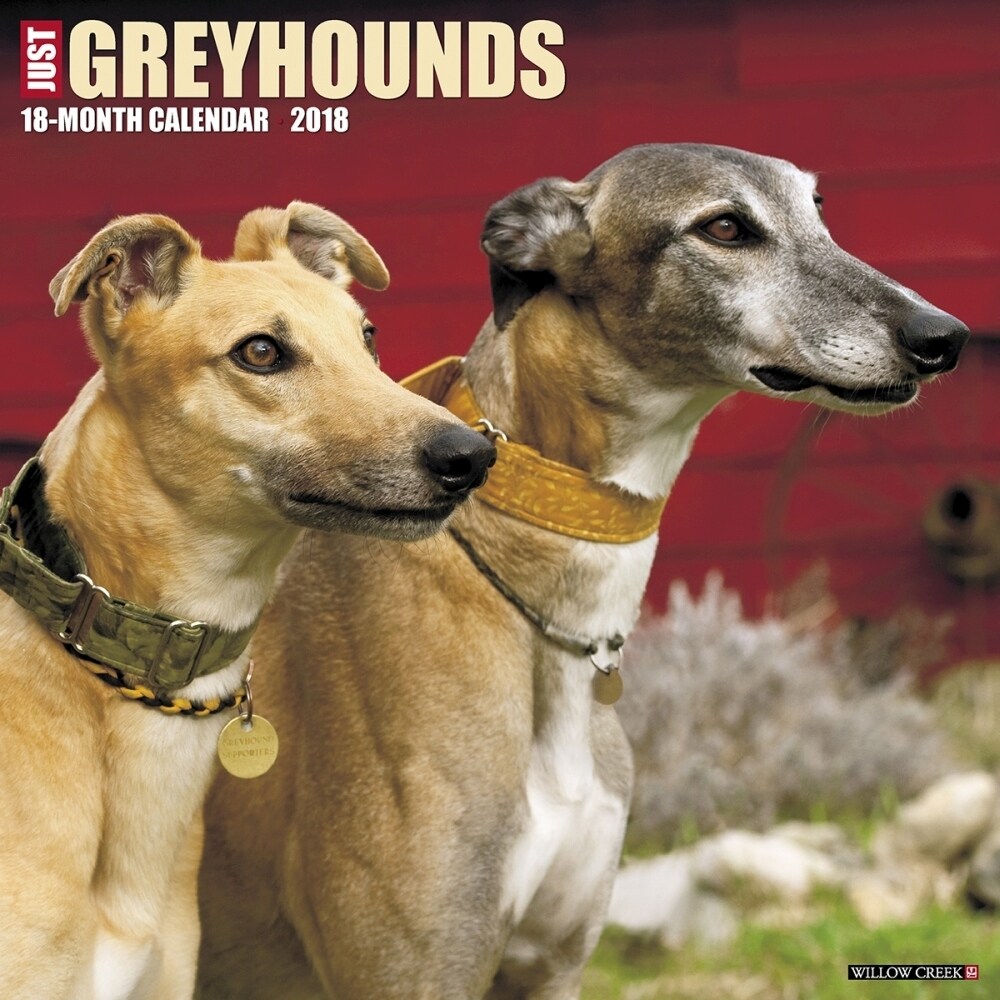 Shop Just Greyhounds Wall Calendar Greyhound By Willow Creek