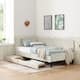 Option Beige
