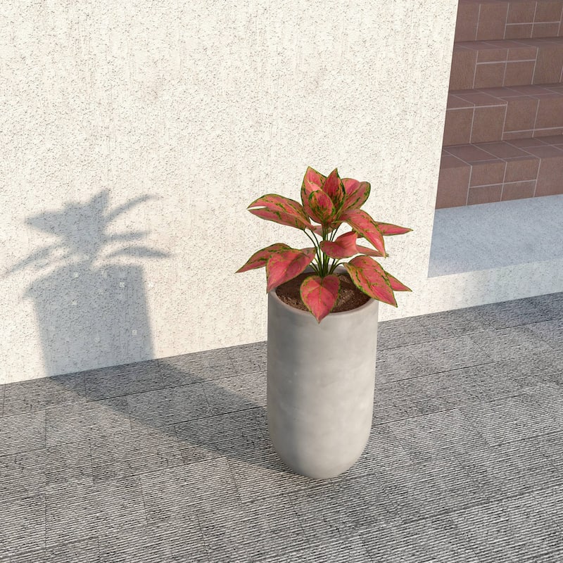 Topiary Modern Cylinder Fiberstone and MgO Clay Planter Pot w Drainage Holes for Indoor Outdoor Home Office Patio Porch Garden
