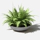 preview thumbnail 112 of 110, Mason Series Lane Bowl Planter