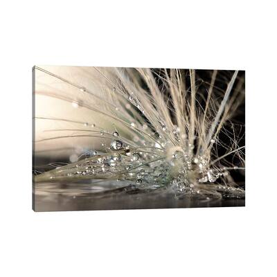iCanvas "Pearls" by Maryam Zahirimehr Canvas Print