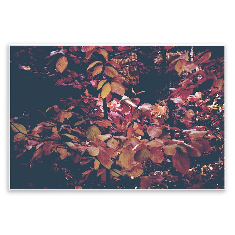 Stupell Dusky Forest Leaves Wall Plaque Art Design By Gemma Bardot - 15 x 10