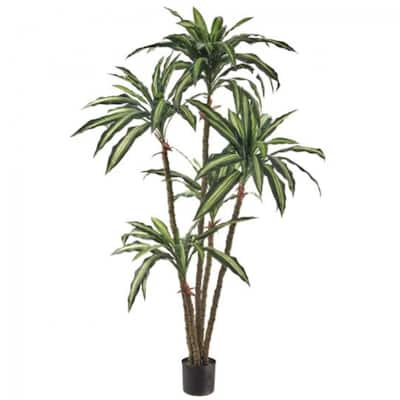 Potted Dracena Plant Faux Plants And Trees
