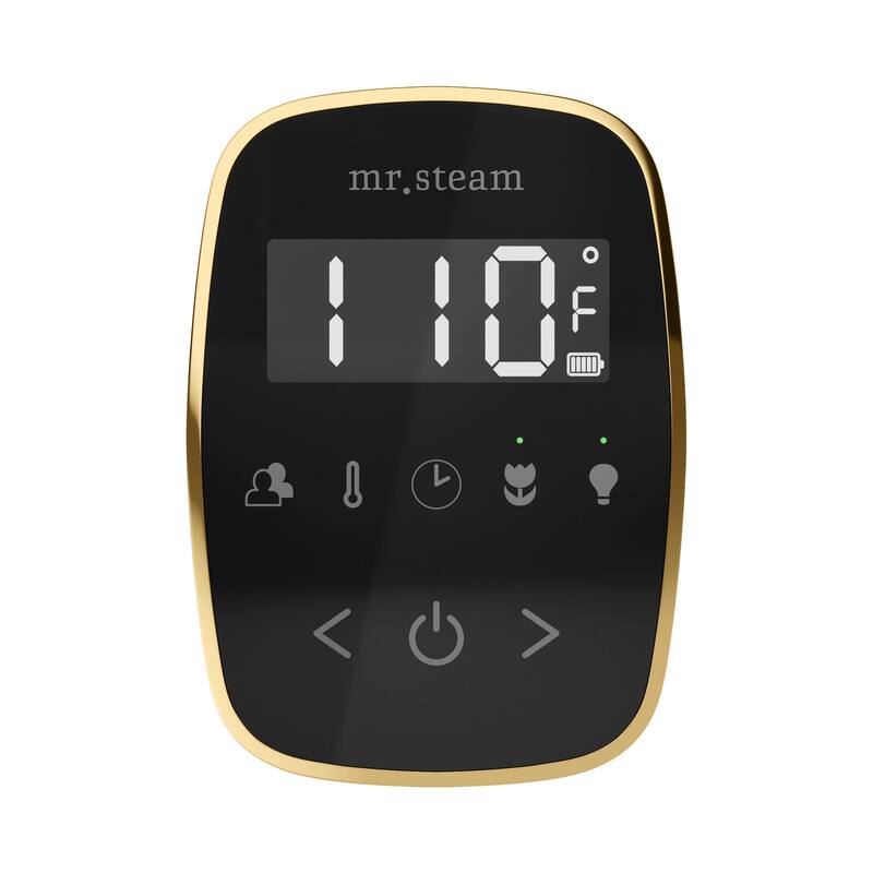 Mr Steam BTL Butler Touch Linear Package Steam Shower Control Package