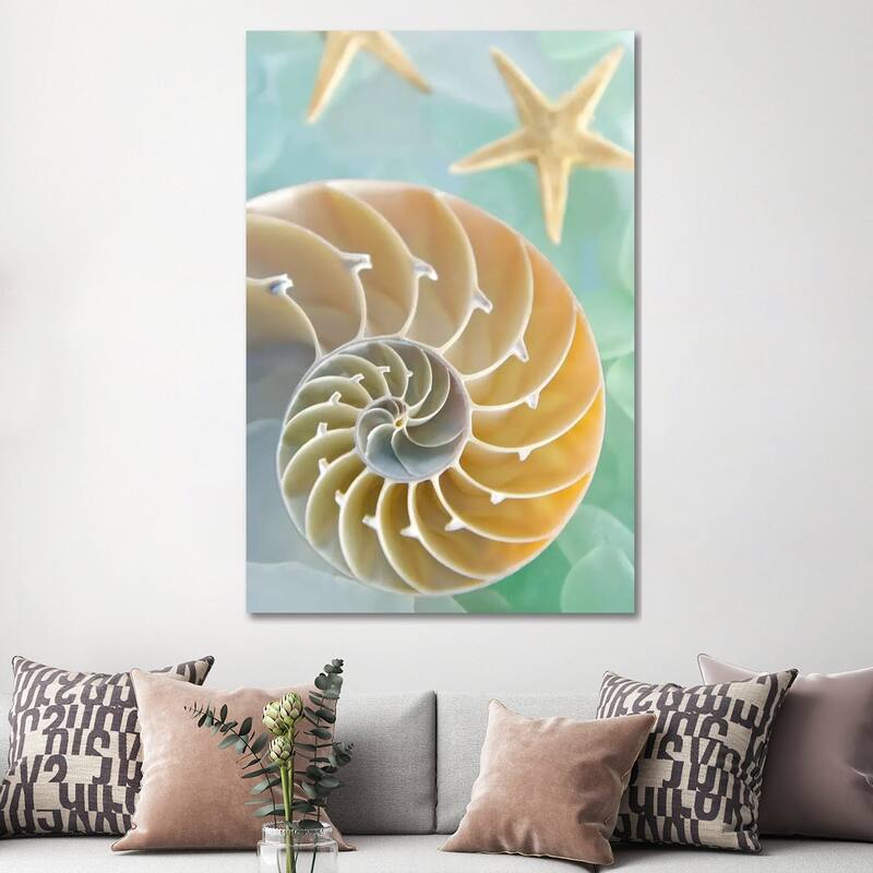 iCanvas "Seaglass 2" by Alan Blaustein Canvas Print