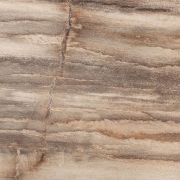 Emser Tile F02MODE-0635 Modena - 5-5/8" x 35" Rectangle Floor and Wall Tile - Unpolished Wood Visual