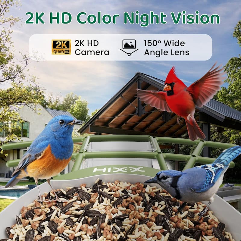 Smart Bird Feeder with Camera 2K HD Live