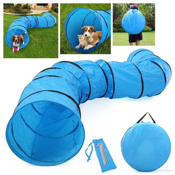 agility training tunnel for dogs