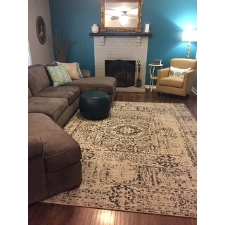 Safavieh Evoke Deb Vintage Boho Medallion Distressed Rug