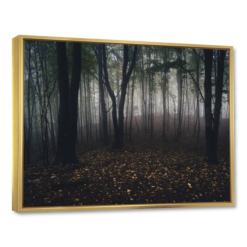 Designart "Dark Spooky Misty Wild Forest" Oversized Forest Framed Canvas Artwork Print
