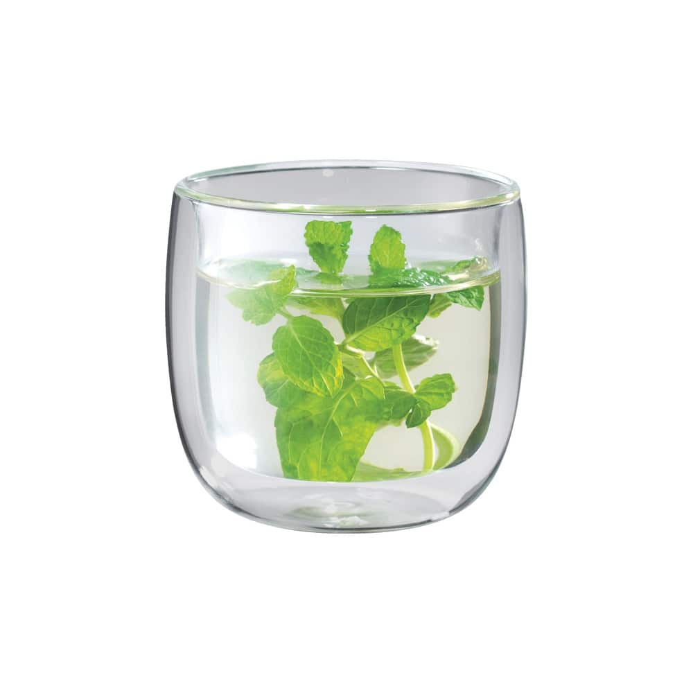 ZWILLING Sorrento Double-Wall Glass Tea Cup Set - Clear - 4-pc
