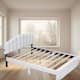 Option White