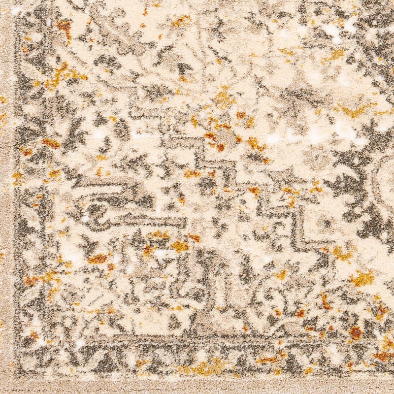 Artistic Weavers Pienza Plush Traditional Medallion Area Rug
