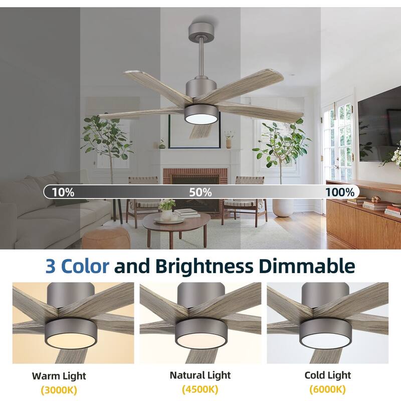 WINGBO 54" and 64" 5 ABS Blades DC Motor Indoor Ceiling Fan with Light & Remote