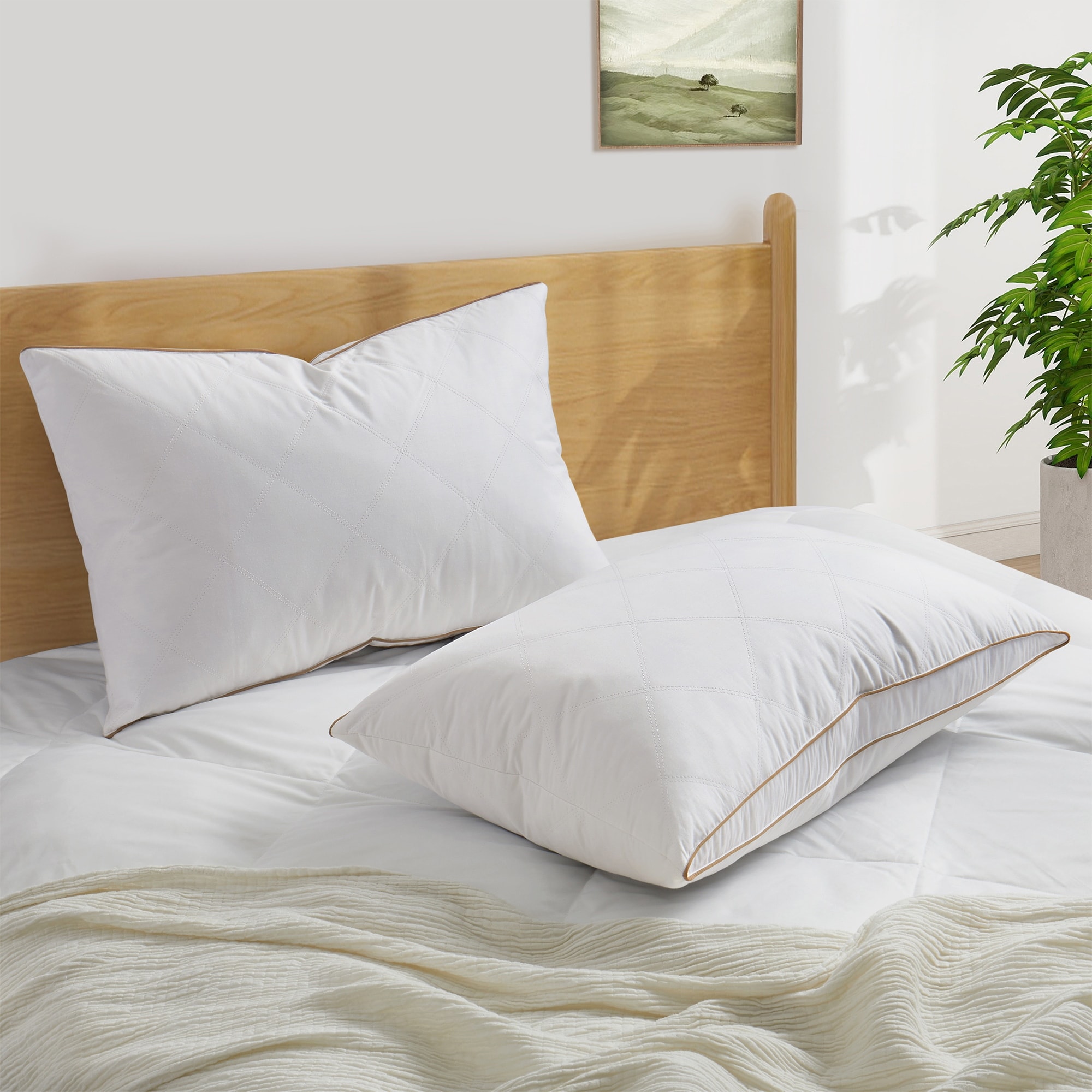 Bed Pillows Bed Bath Beyond